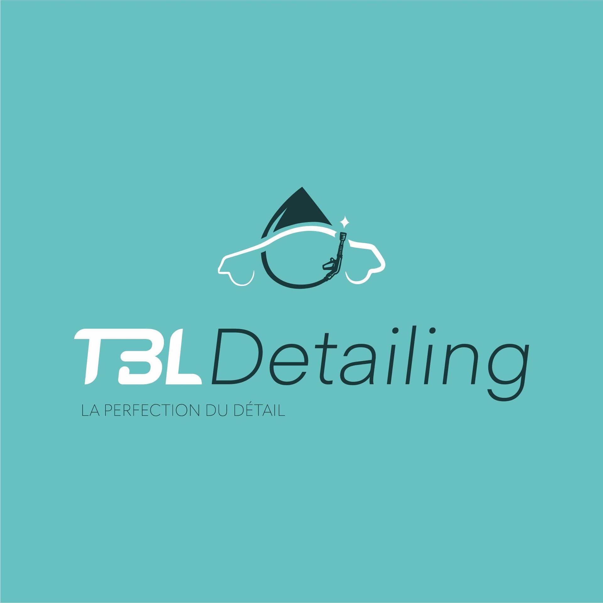 THIBAULT LENOIR (TBL DETAILING)